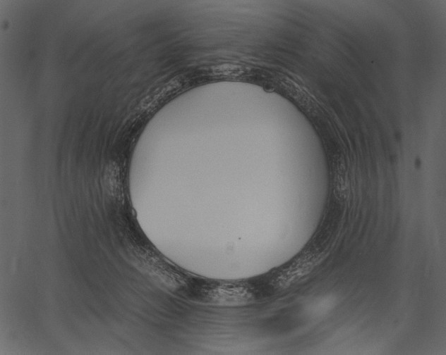 X0000062600270200601110950