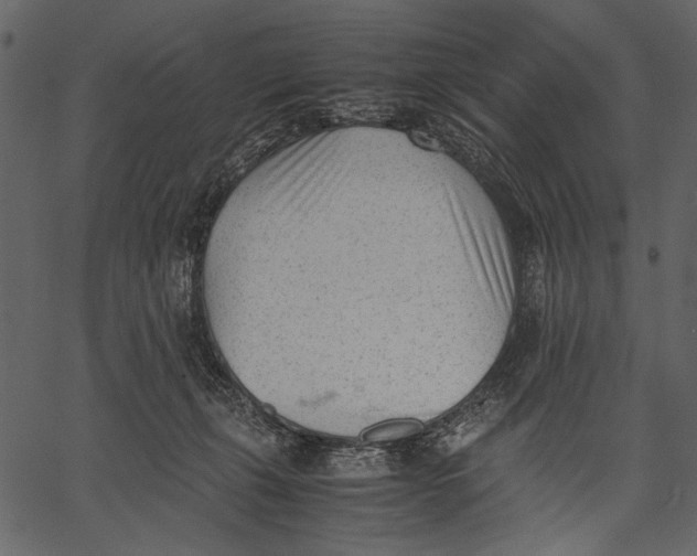 X0000062600271200601110950