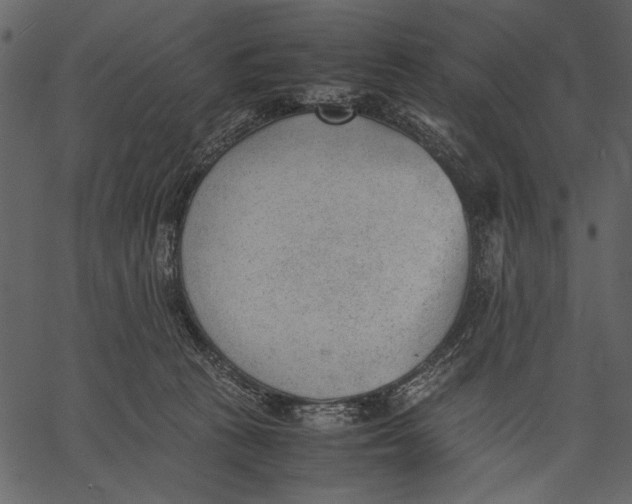 X0000062600273200601110950