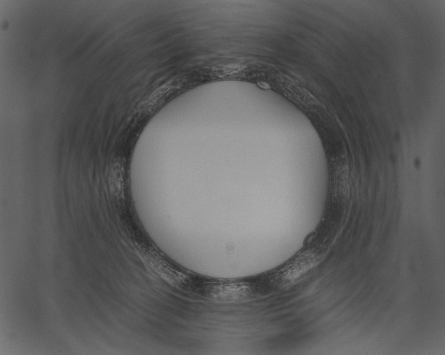 X0000062600274200601110950