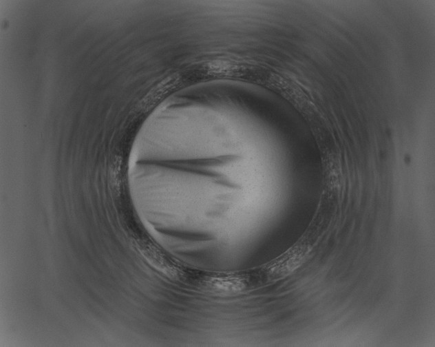 X0000062600275200601110950