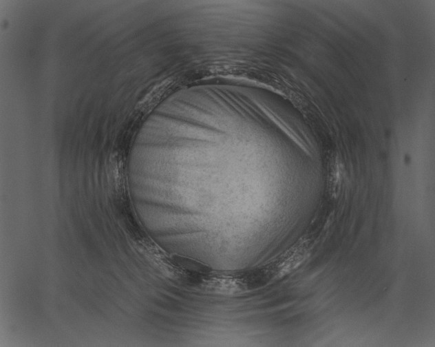 X0000062600276200601110950