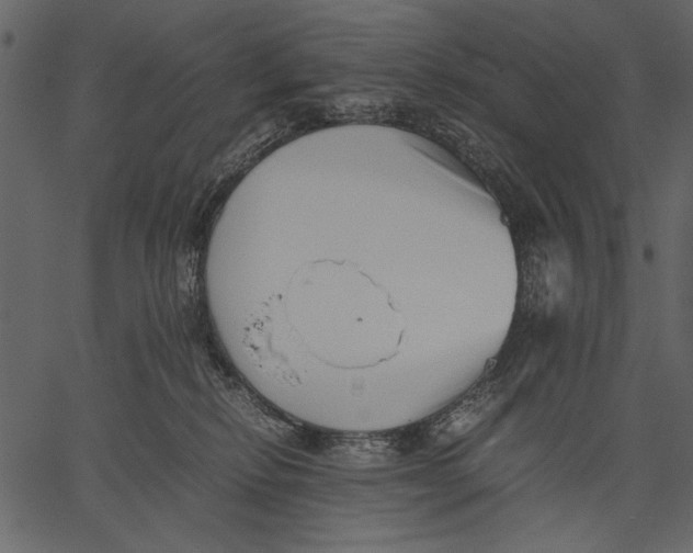 X0000062600278200601110950