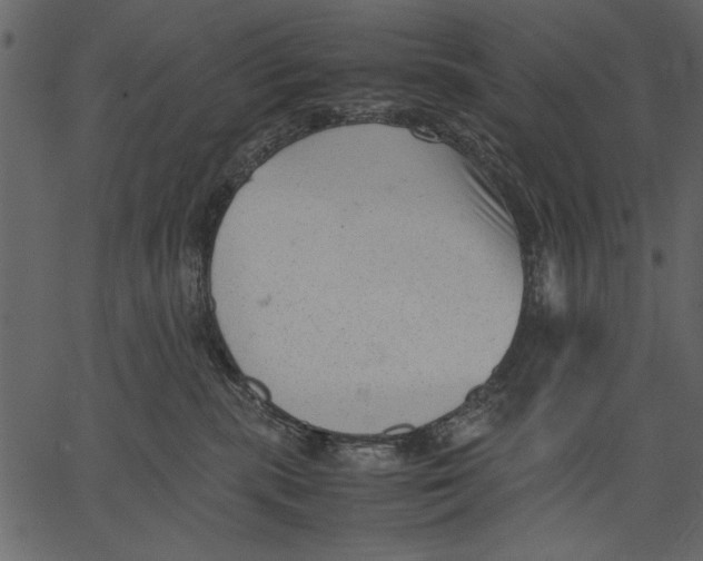 X0000062600283200601110950