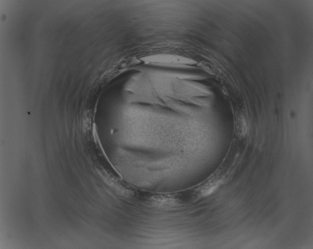 X0000062600284200601110950