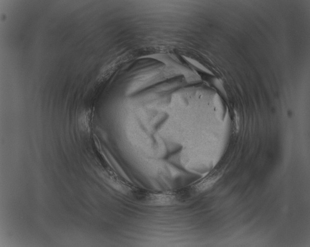 X0000062600286200601110950