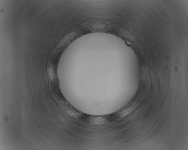 X0000062600287200601110950