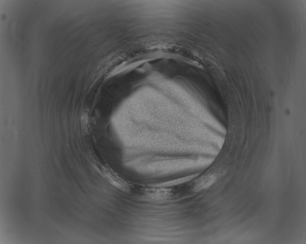 X0000062600288200601110950