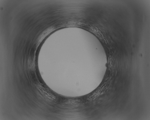 X0000062600292200601110950