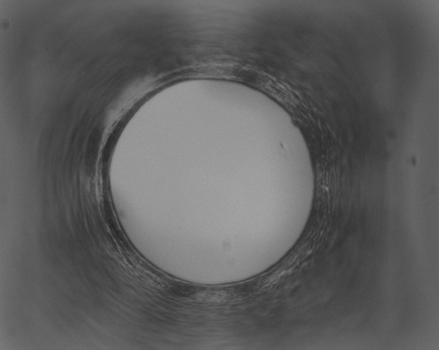 X0000062600294200601110950