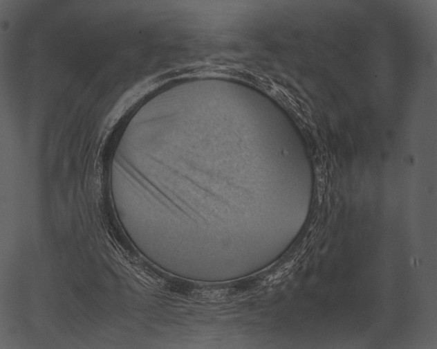 X0000062600295200601110950