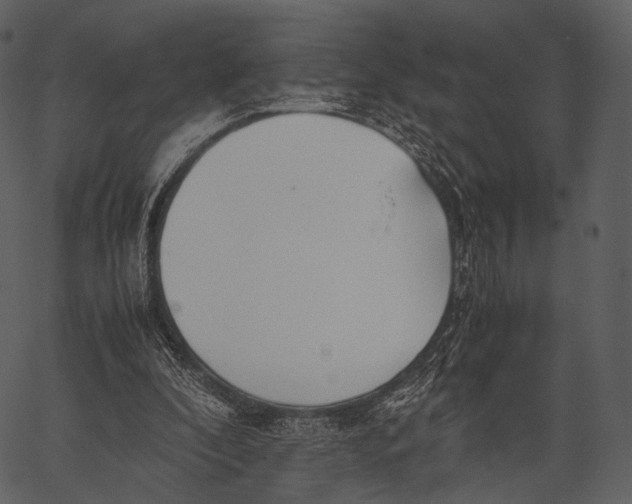 X0000062600296200601110950