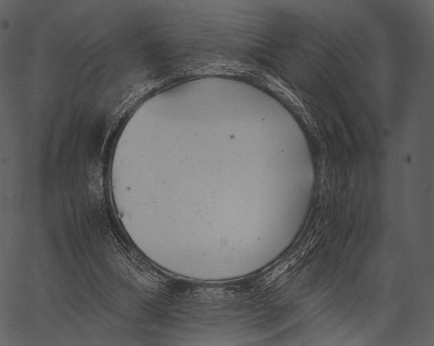 X0000062600298200601110950