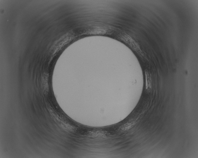X0000062600300200601110949