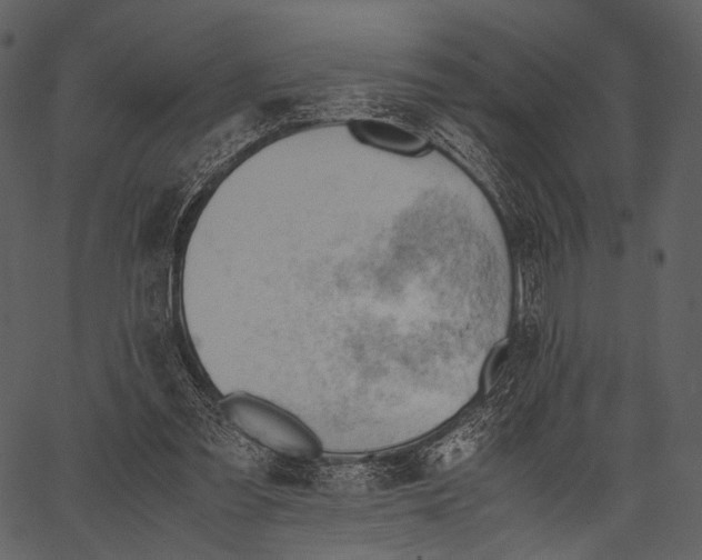 X0000062600301200601110949