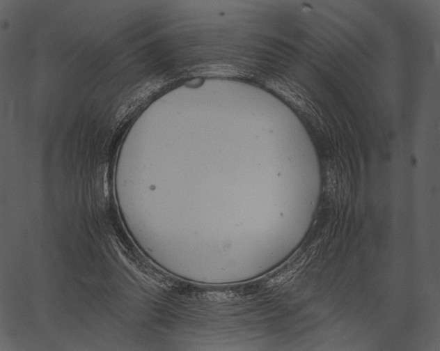 X0000062600302200601110949