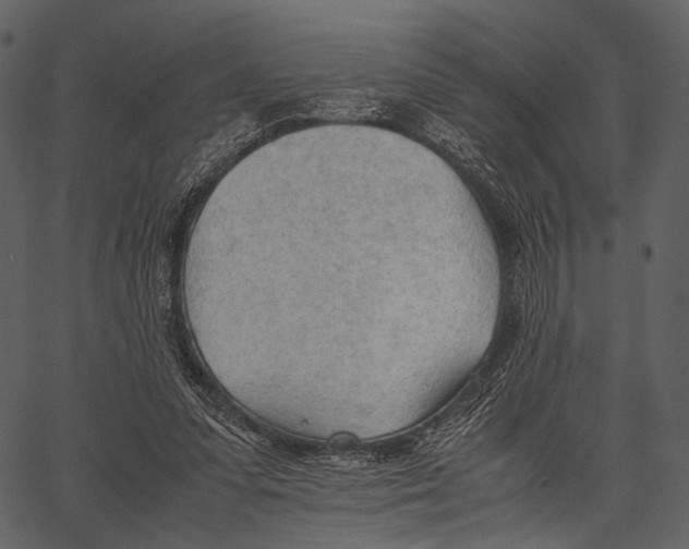 X0000062600303200601110949