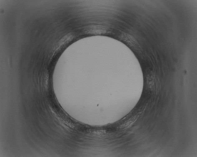 X0000062600304200601110949