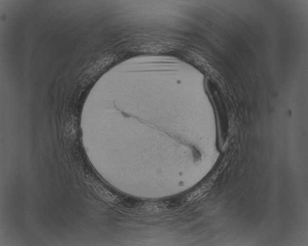 X0000062600305200601110949