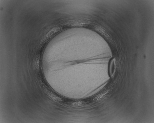 X0000062600309200601110949