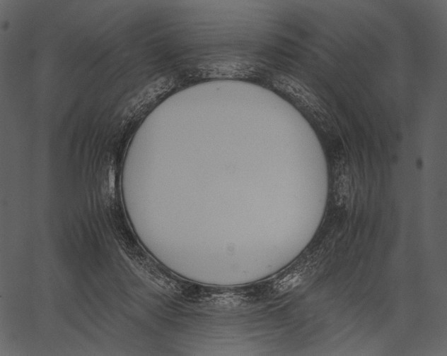 X0000062600310200601110949