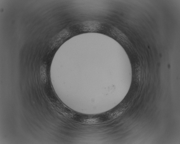 X0000062600312200601110949