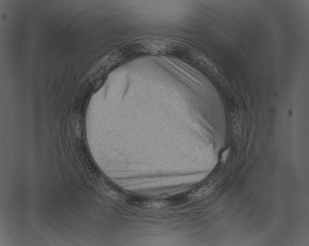 X0000062600313200601110949