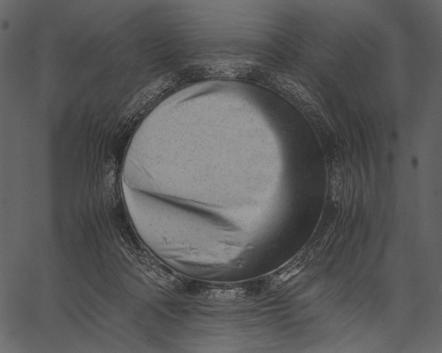 X0000062600314200601110949