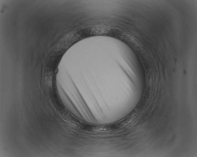 X0000062600315200601110949