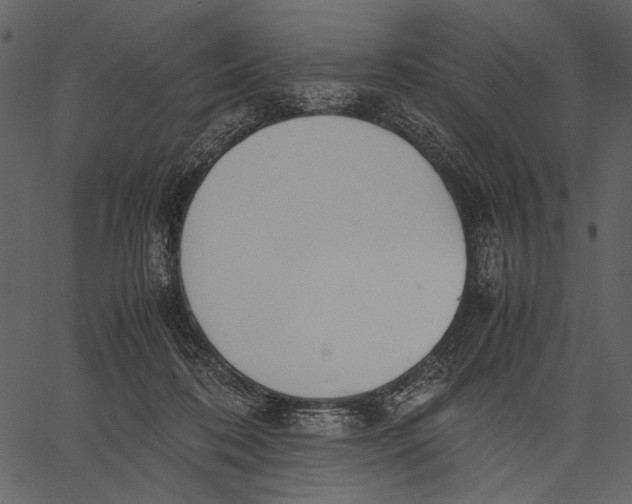 X0000062600316200601110949