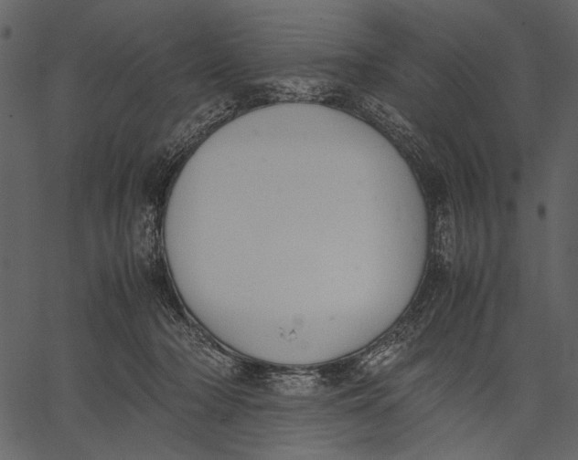 X0000062600318200601110949