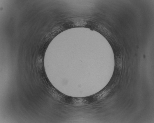 X0000062600321200601110949