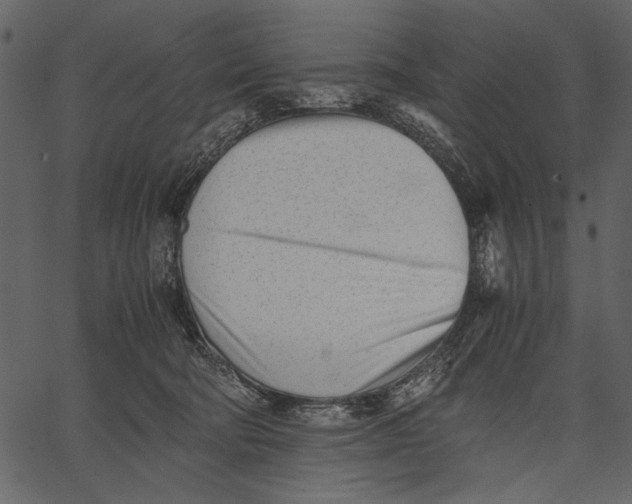 X0000062600322200601110949