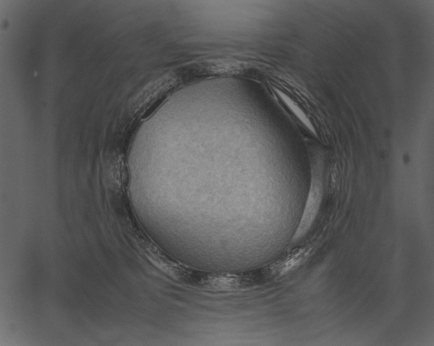 X0000062600325200601110949