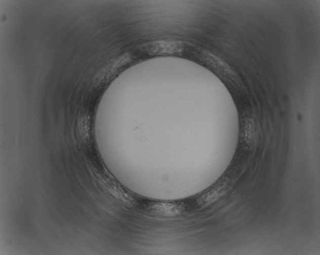 X0000062600326200601110949