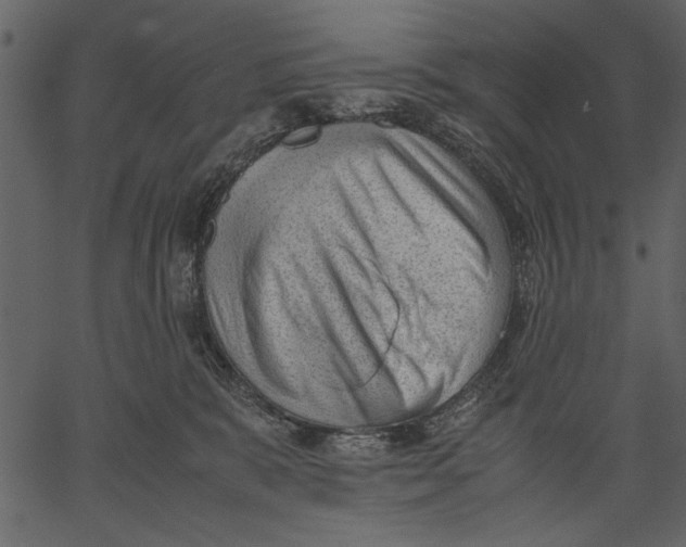 X0000062600327200601110949