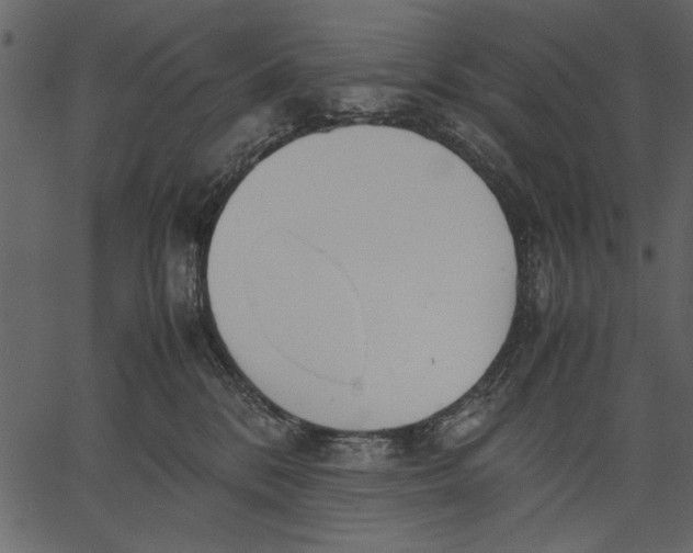 X0000062600328200601110949