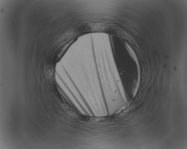 X0000062600329200601110949
