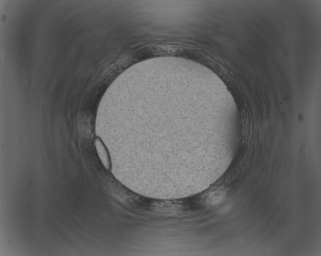 X0000062600331200601110949