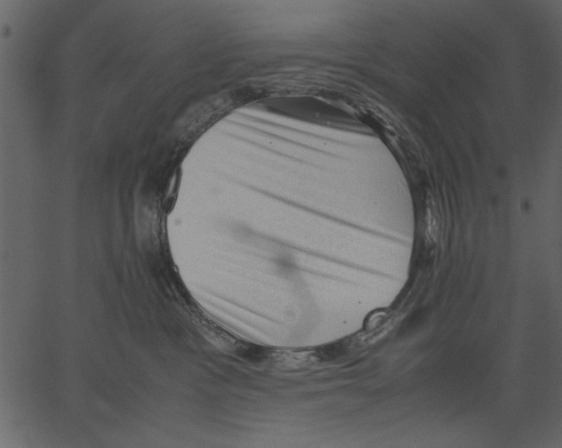 X0000062600333200601110949