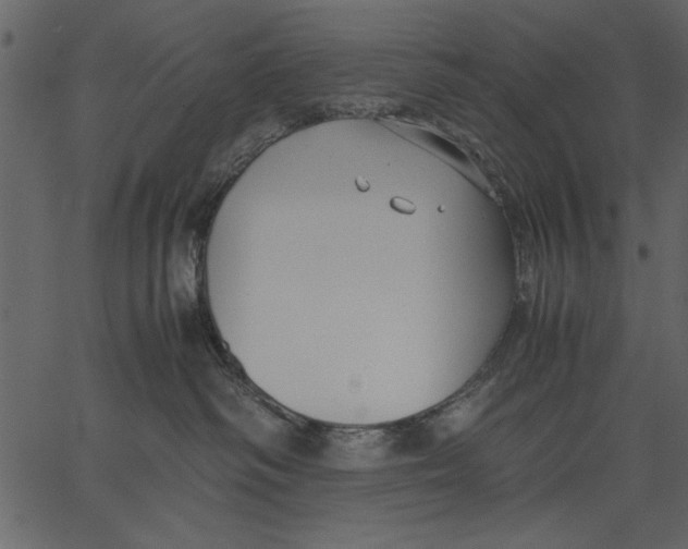 X0000062600334200601110949