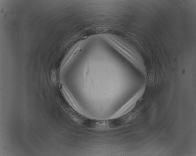 X0000062600335200601110949