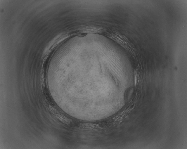 X0000062600339200601110948