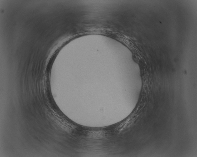 X0000062600342200601110948