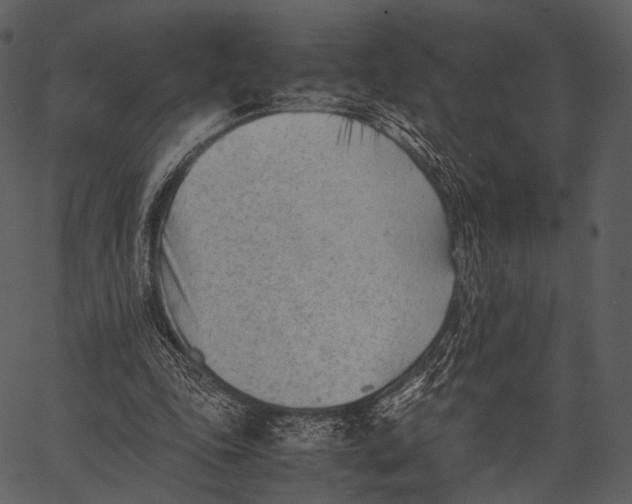 X0000062600343200601110948