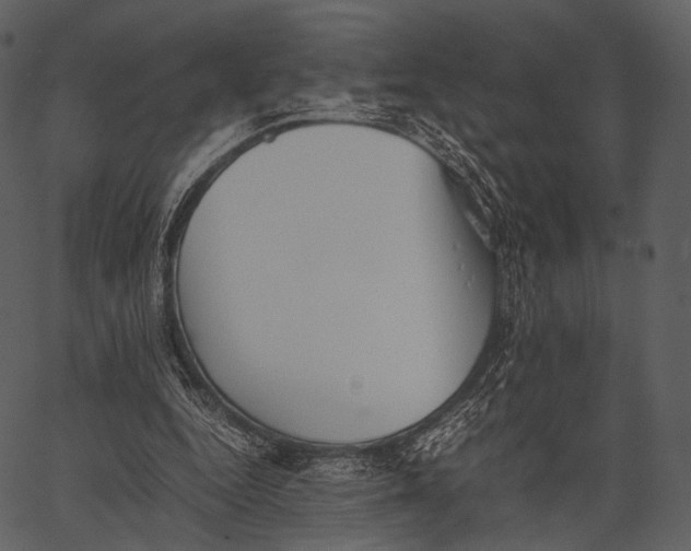 X0000062600344200601110948