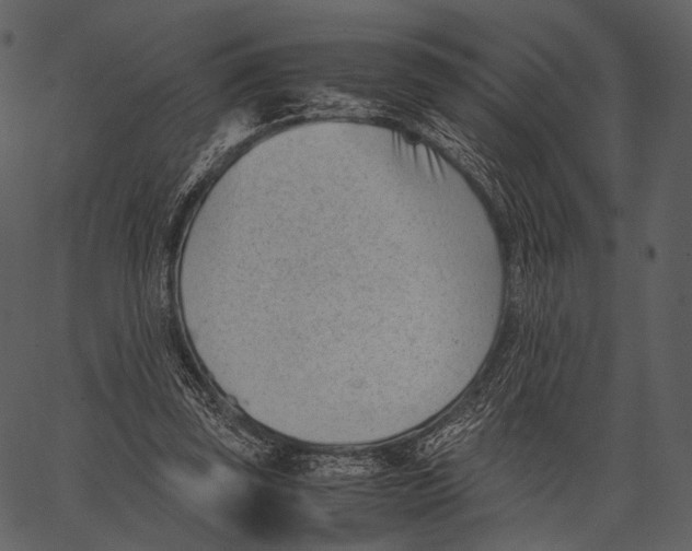 X0000062600347200601110948