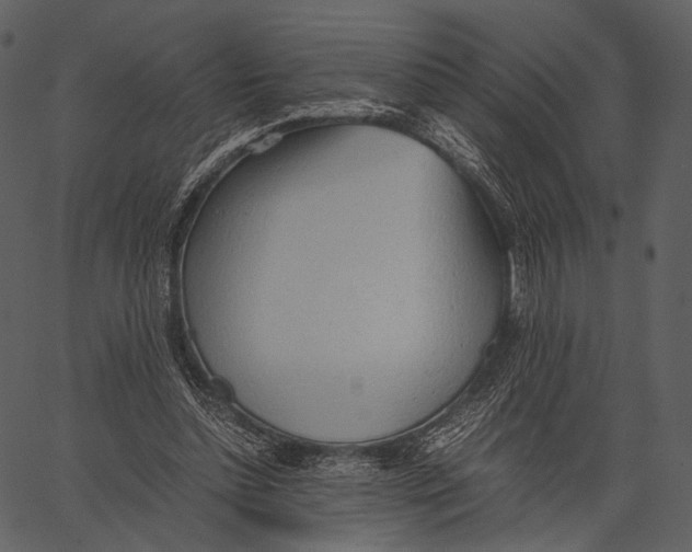 X0000062600348200601110948