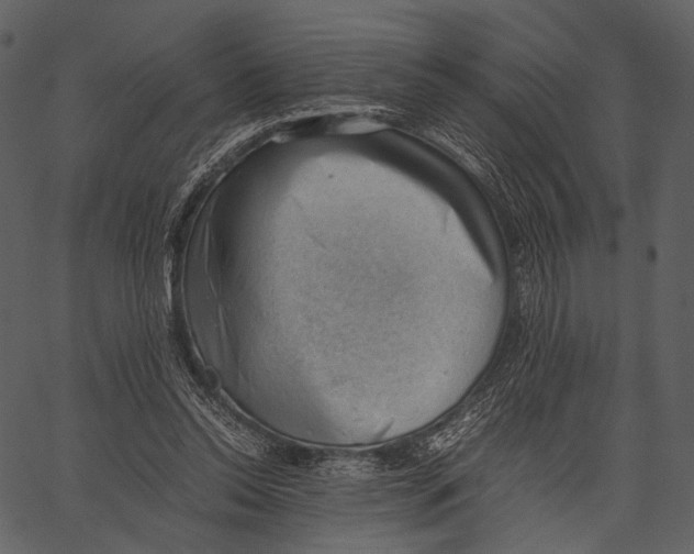 X0000062600350200601110948