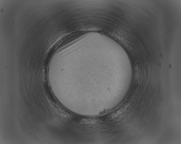 X0000062600351200601110948
